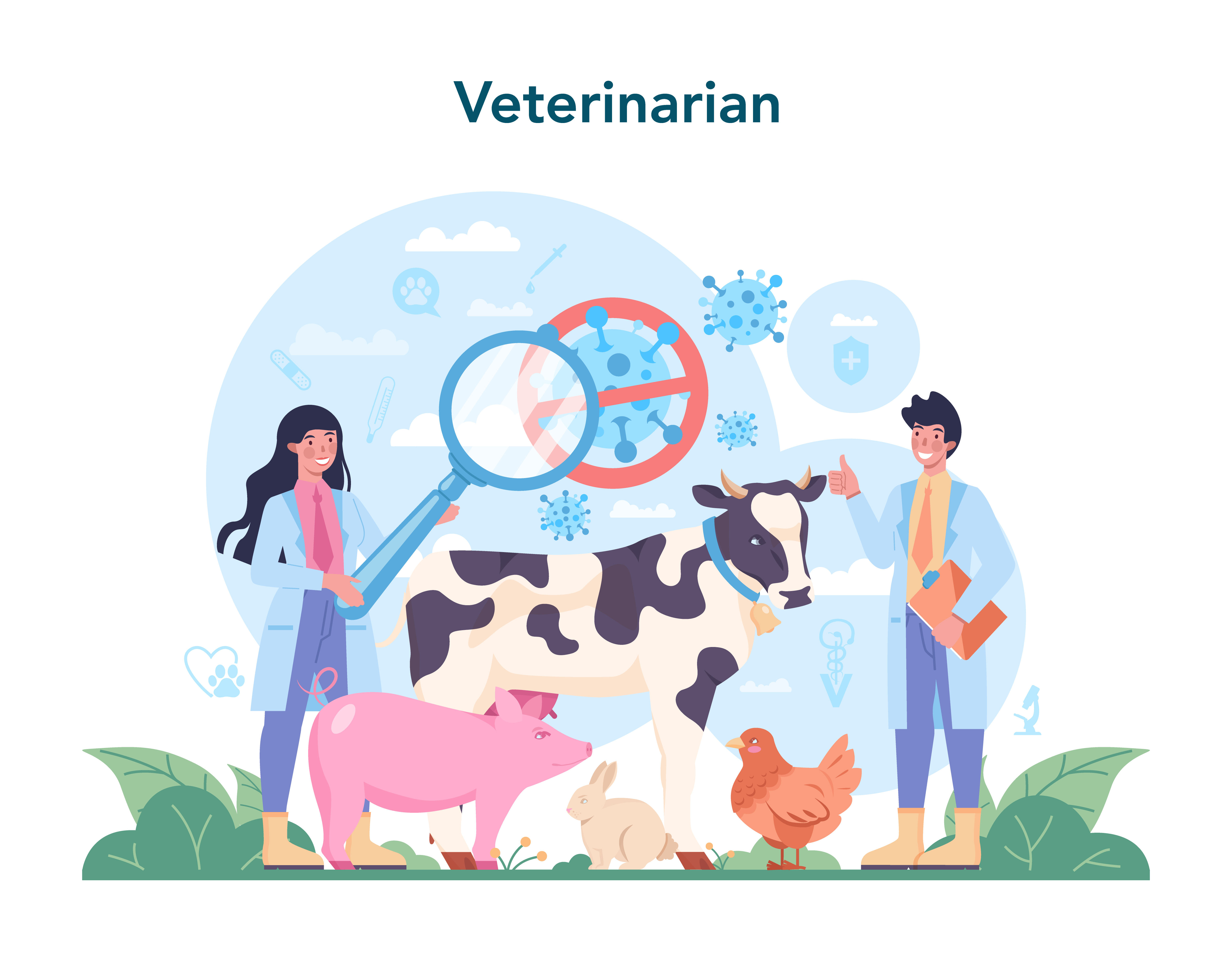 Medical Education Illustration